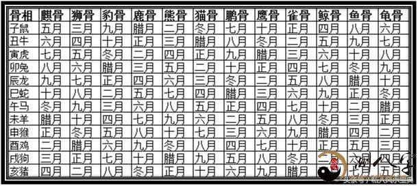 八字的几两几钱越多越好吗